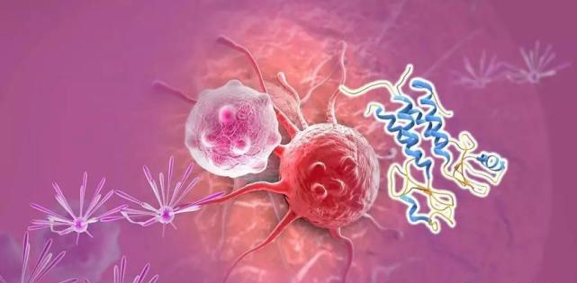 【盘点】高选择性mTOR抑制剂的研究进程_ag尊龙登陆入口z6mg生物医药