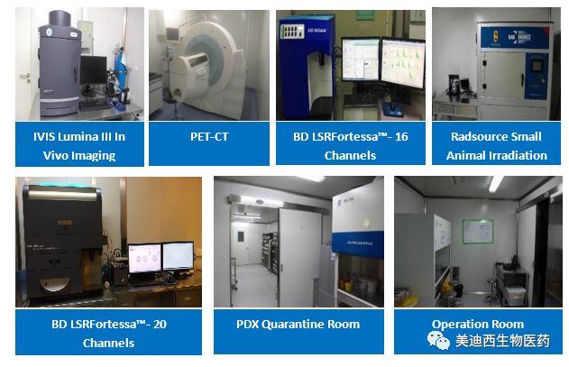 ag尊龙登陆入口z6mg药理部拥有IVIS Lumina III, PET-CT, BD LSRFortessa-16, Flow Cytometry等仪器,提供符合申报,支持临床试验的药效评价服务。