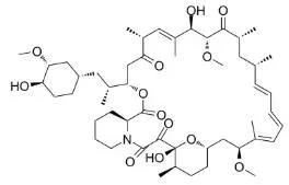 雷帕霉素新制剂用于罕见病，获4500万美元融资