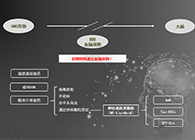 人工合成NT类脂质开放血脑屏障，为CNS药物打开新局面