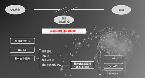 人工合成NT类脂质开放血脑屏障，为CNS药物打开新局面