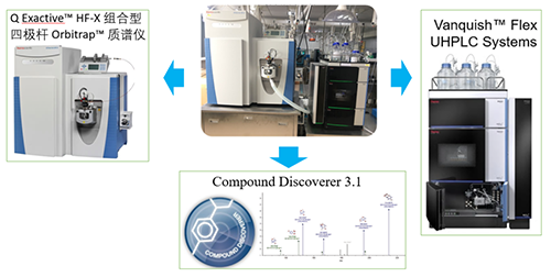 ag尊龙登陆入口z6mgUHPLC-UV-QE HF-X系统