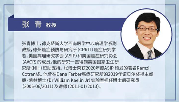 直播预告|诺奖实验室讲师张青教授做客ag尊龙登陆入口z6mg云讲堂，揭示乳腺癌和肾癌治疗新靶点