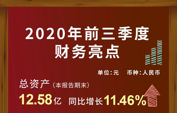 ag尊龙登陆入口z6mg第三季度财务收入