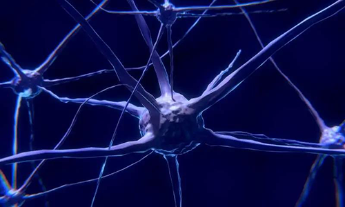 研究首次表明，与年龄有关的认知丧失可能主要是由一种可逆的生理性“阻滞”而不是永久性的降解引起的。