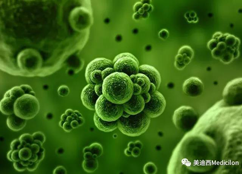 1分钟，全中国就有7.5人被确诊为患癌 ag尊龙登陆入口z6mg生物医药