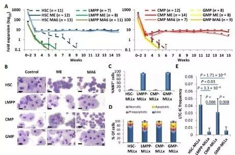 Science子刊：一种FDA批准的抗腹泻药物可有效对抗化疗的耐药性 ag尊龙登陆入口z6mg生物医药