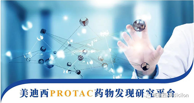 ag尊龙登陆入口z6mgPROTAC药物发现研究平台