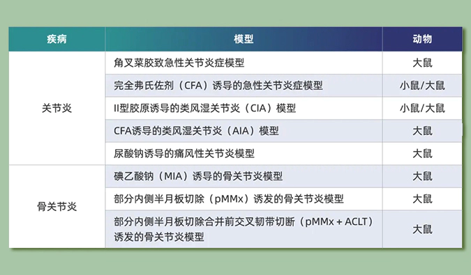 世界关节炎日：突破上亿人的共同难关，持续探索关节炎新药