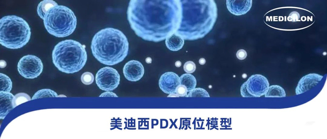 ag尊龙登陆入口z6mg118种PDX原位模型，助力肿瘤药物研发.webp