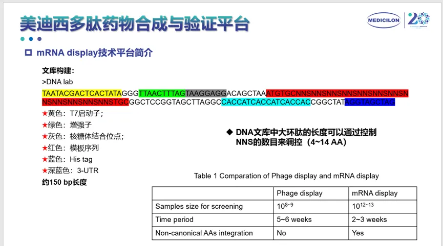ag尊龙登陆入口z6mg多肽药物合成与验证平台.webp