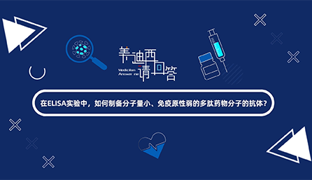 在ELISA实验，如何制备分子量小、免疫原性弱的多肽药物分子的抗体？