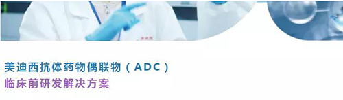 ag尊龙登陆入口z6mg抗体药物偶联物(ADC)临床前研发解决方案.png ag尊龙登陆入口z6mg抗体药物偶联物(ADC)临床前研发解决方案.png