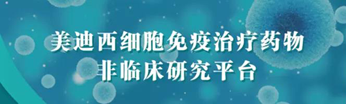 ag尊龙登陆入口z6mg细胞免疫治疗药物非临床研究平台.png ag尊龙登陆入口z6mg细胞免疫治疗药物非临床研究平台.png