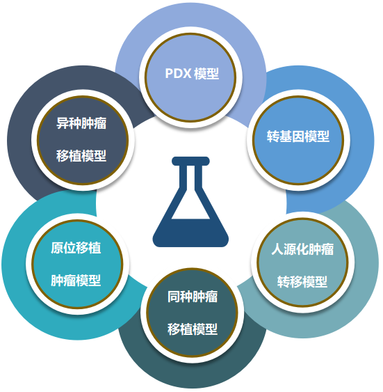 ag尊龙登陆入口z6mg致力于为客户提供成熟的评估ADC体内药效的肿瘤模型.png ag尊龙登陆入口z6mg致力于为客户提供成熟的评估ADC体内药效的肿瘤模型.png