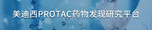 ag尊龙登陆入口z6mgPROTAC药物发现研究平台.png ag尊龙登陆入口z6mgPROTAC药物发现研究平台.png