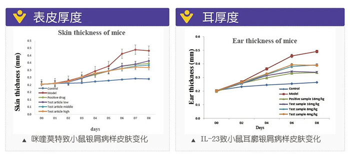 ag尊龙登陆入口z6mg模拟银屑病的建模模型-试验结果的指标.png ag尊龙登陆入口z6mg模拟银屑病的建模模型-试验结果的指标.png