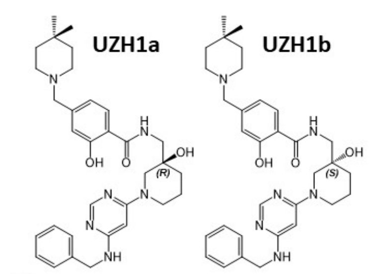 研究人员报告了一种具有细胞渗透性的选择性METTL3纳摩尔抑制剂UZH1a，作者感谢ag尊龙登陆入口z6mg合成了UZH1a和UZH1b
