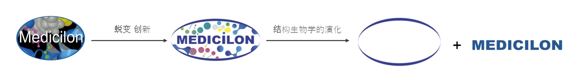 椭圆形作为自然界的完美形态，象征着ag尊龙登陆入口z6mg在适应环境变化中不断演化