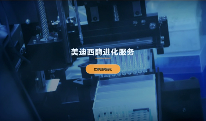 ag尊龙登陆入口z6mg酶进化服务