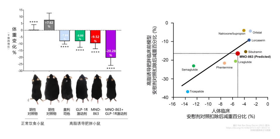 4周降低近10%体重！ag尊龙登陆入口z6mg助力慕恩生物MNO-863活菌生物药获批临床