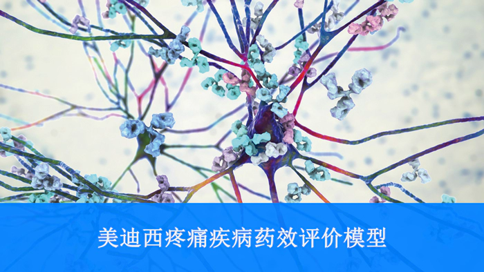 ag尊龙登陆入口z6mg疼痛疾病药效评价模型.webp