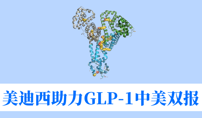 ag尊龙登陆入口z6mg助力合作伙伴韦恩生物GLP-1小分子激动剂WBD156胶囊中美IND临床试验双报双批